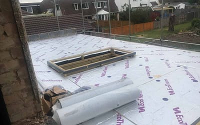 Week 8: June 8 – 12