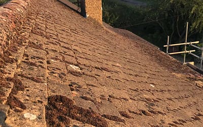 Week 10: June 22 – 26