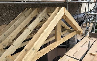 Week 11: June 29 – July 3