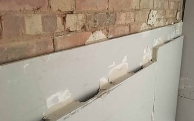 Week 19: Aug 24 – 30