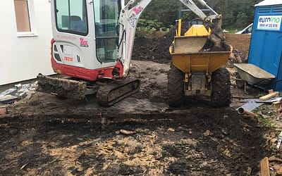 Week 28: Oct 26 – Nov 1